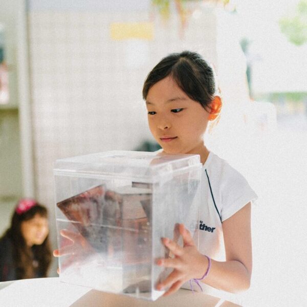 semana-da-matematica_1712